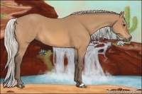Horse Color:Silver Buckskin 