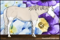 Horse Color:Smoky Creme Splash 