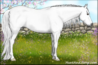Horse Color:Gray Grullo Roan