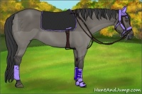 Horse Color:Grullo
