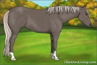 Horse Color:Silver Black