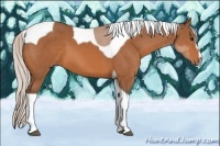 Horse Color:Silver Bay Sabino Tobiano 