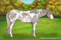 Horse Color:White Spotted Silver Black Ice 