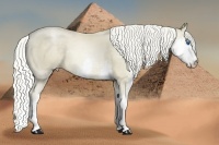 Horse Color:Chocolate Palomino Pearl Splash