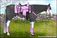 Horse Color:Smoky Blue Roan Splash 