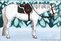 Horse Color:White Spotted Silver Blue Roan Splash Tobiano