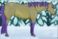 Horse Color:Watercolor Bay 