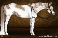 Horse Color:White Spotted Liver Red Dun Splash Frame 