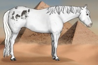 Horse Color:Liver Chestnut Mushroom Splash Varnish