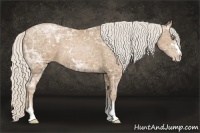Horse Color:Silver Black Ice Pearl Sabino