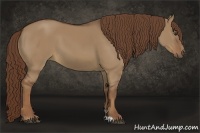 Horse Color:Liver Red Dun Sabino