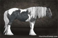 Horse Color:Silver Smoky Black Chinchilla Tobiano 