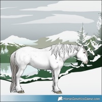 Horse Color:Liver Chestnut Sabino Splash Tobiano Appaloosa 