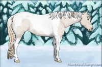 Horse Color:Smoky Creme Roan Tobiano Rabicano