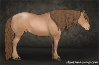 Horse Color:Brown Pearl Rabicano