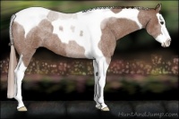 Horse Color:Red Roan Splash Tobiano