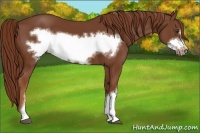 Horse Color:Chestnut Frame