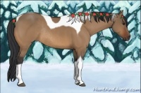 Horse Color:Bay Dun Tobiano Rabicano