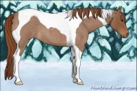 Horse Color:Red Roan Tobiano 