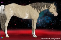 Horse Color:White Spotted Classic Cream Champagne 