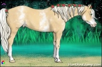 Horse Color:White Spotted Gold Cream Champagne Splash 