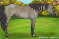 Horse Color:Smoky Grullo 