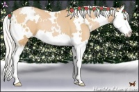 Horse Color:White Spotted Silver Bay Pearl Splash