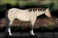 Horse Color:Bay Roan Dun Rabicano
