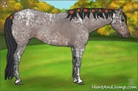 Horse Color:Bay Ice Roan 