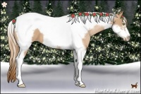 Horse Color:Chestnut Pearl Tobiano Frame