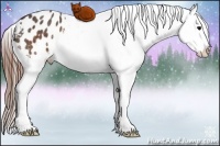 Horse Color:Brown Snowflake Varnish Rabicano