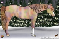 Horse Color:Nacre Bay Pearl 