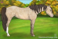 Horse Color:Amber Cream Champagne Ice 