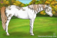 Horse Color:White Spotted Gold Champagne Ice Roan Dun Splash Frame 