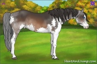 Horse Color:Brown Sabino Splash