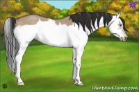 Horse Color:Bay Roan Dun Splash Frame Rabicano 