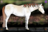Horse Color:White Spotted Smoky Grullo Pearl
