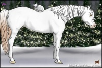 Horse Color:White Spotted Bay Pearl Splash Appaloosa 