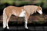 Horse Color:Chestnut Sabino 