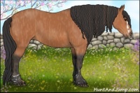 Horse Color:Bay Splash Frame Brindle