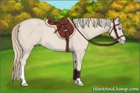 Horse Color:Smoky Creme Roan