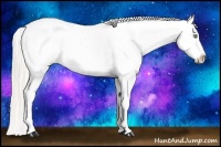 Horse Color:Silver Amber Champagne Dun Tobiano Appaloosa 