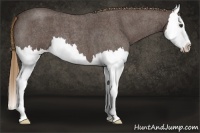 Horse Color:Liver Red Roan Splash