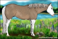 Horse Color:Silver Grullo Splash 