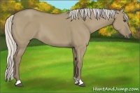 Horse Color:Silver Smoky Grullo 