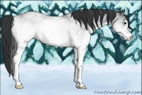 Horse Color:White Spotted Blue Roan Rabicano 