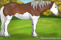 Horse Color:Silver Brown Splash