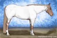 Horse Color:Chestnut Near Fewspot 