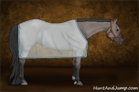 Horse Color:Grullo Rabicano 