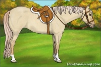 Horse Color:Palomino Roan Dun